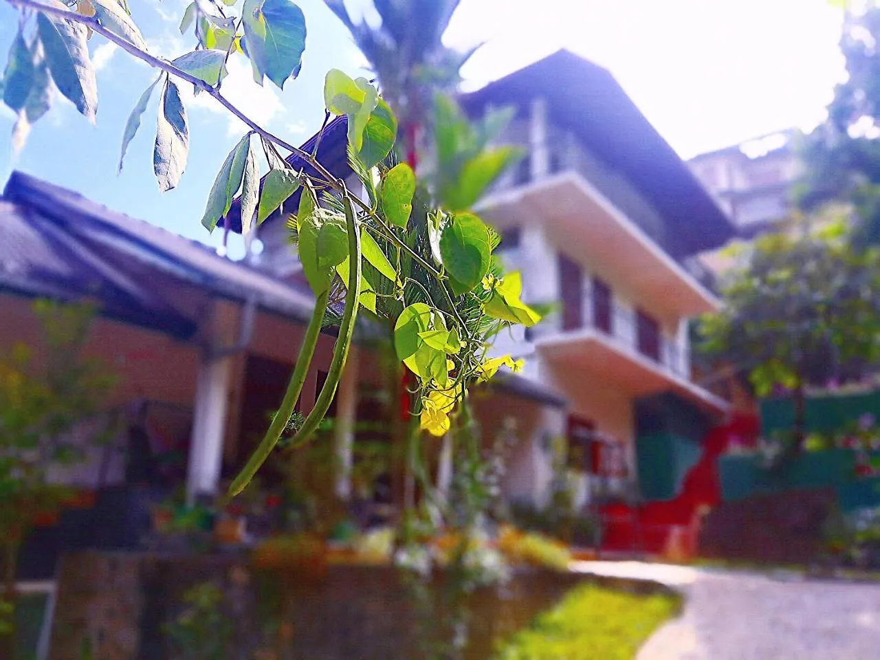 Appartement Kandy Jungle View