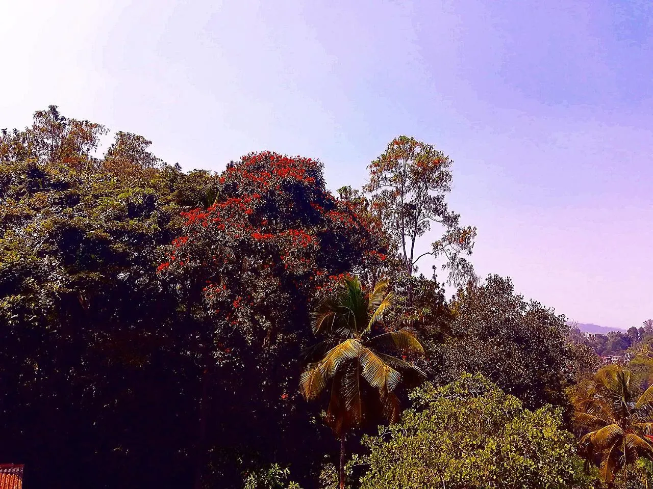 Appartement Kandy Jungle View